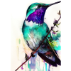 Bunter Vogel
