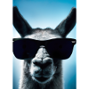 Lama mit Sonnenbrille