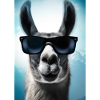 Lama mit Sonnenbrille