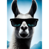 Lama mit Sonnenbrille