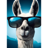 Lama mit Sonnenbrille