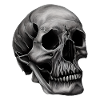 Totenkopf