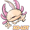 XO LOT