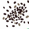 Beans