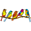 oiseaux et couleurs