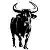STIER