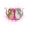 Gerbil Mouse Gift