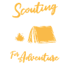 Boy Scout Adventure