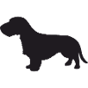Rauhaardackel Silhouette