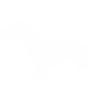 Rauhaardackel Silhouette