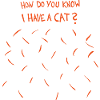 Hvordan ved du, at jeg har en kat (orange / rødt hår)