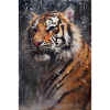 Tiger villmark