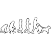 EVOLUTION Labrador