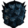Unique cat, for cat lovers