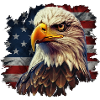 Drapeau Eagle USA