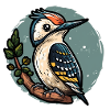 Sweet WoodpIcker / Woodpecker