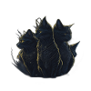 Katze
