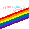 Trans Rights are Human Rights