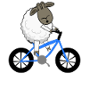 Moutons à vélo