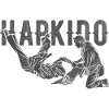 Koreanischer Kampfsport Hapkido
