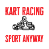 Go Kart Racing Karting Karting
