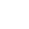 Scottish Highland cow