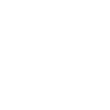 Scottish Highland cow