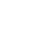 Scottish Highland cow