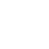 Scottish Highland cow