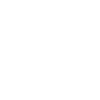 Scottish Highland cow