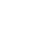 Scottish Highland cow