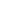Scottish Highland cow