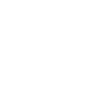 Scottish Highland cow