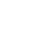 Scottish Highland cow