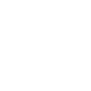 Scottish Highland cow