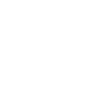 Scottish Highland cow