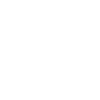 Scottish Highland cow