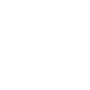 Scottish Highland cow