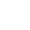 Scottish Highland cow