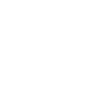 Scottish Highland cow