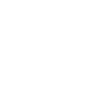 Scottish Highland cow