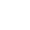 Scottish Highland cow