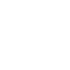 Scottish Highland cow