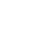 Scottish Highland cow