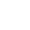Scottish Highland cow