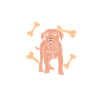 Hund Kita Kindergarten 2023