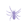 Spinne Kita Kindergarten 2023