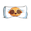 Erdmännchen Scharrtier Tier
