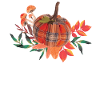 Inspirational Pumpkin Thanksgivings Illustration