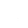 Wein Gans Gänse